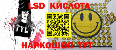 винт Гай