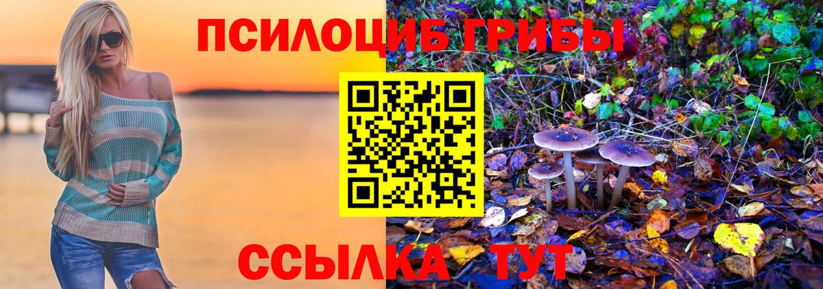 Псилоцибиновые грибы прущие грибы Мыски